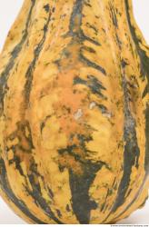 Photo Textures of Pumpkin Hokkaido